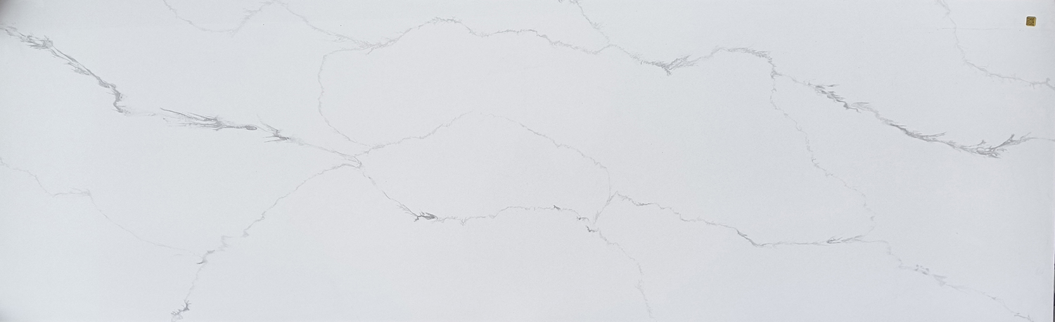 kzs-8805瑞雪豐年